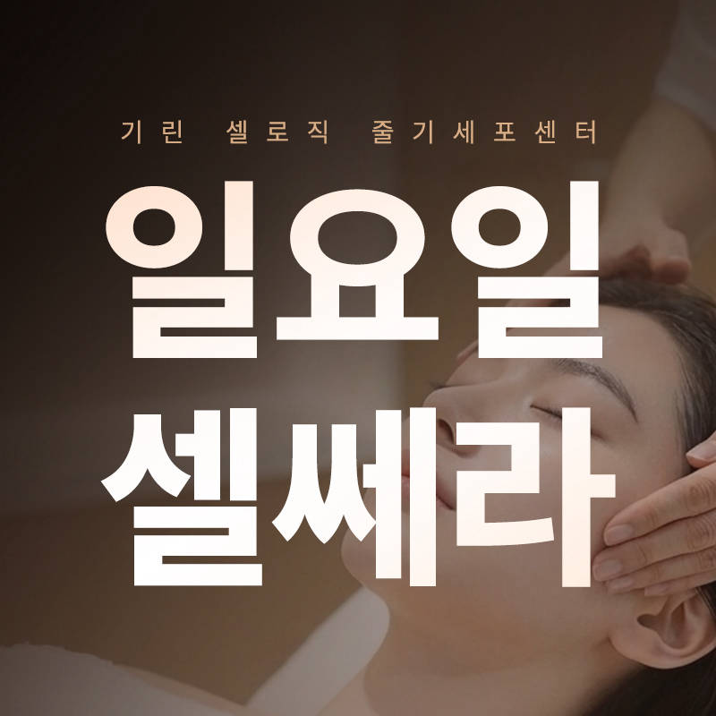 대기없는 일요일 셀쎄라